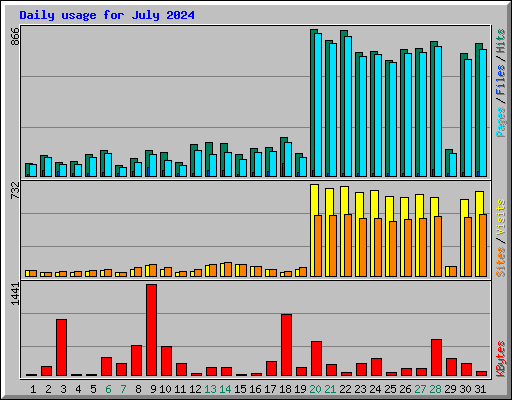 Daily usage for July 2024