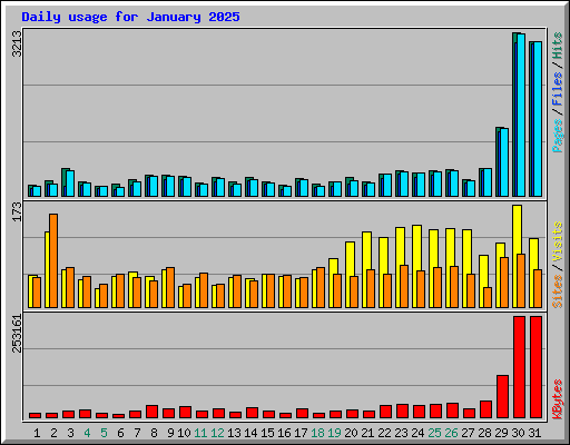 Daily usage for January 2025