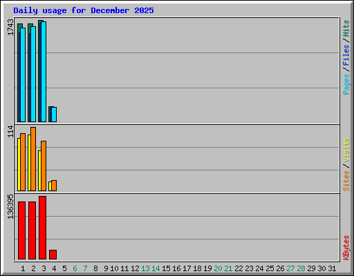 Daily usage for December 2025
