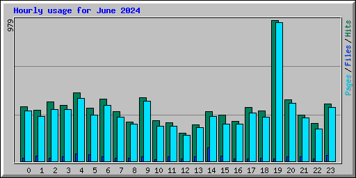 Hourly usage for June 2024