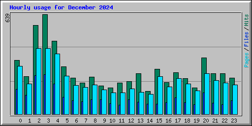 Hourly usage for December 2024