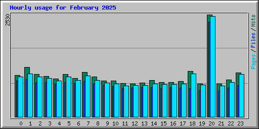 Hourly usage for February 2025