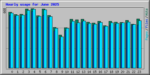 Hourly usage for June 2025