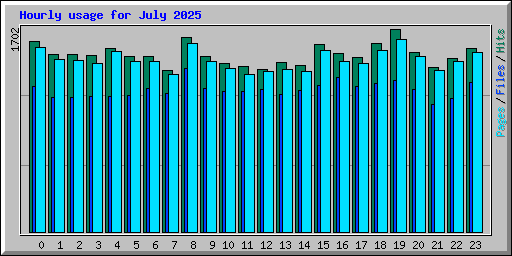 Hourly usage for July 2025
