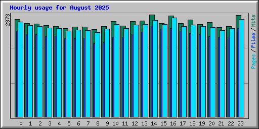 Hourly usage for August 2025