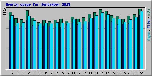 Hourly usage for September 2025