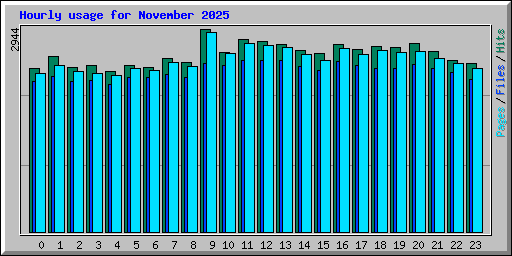 Hourly usage for November 2025