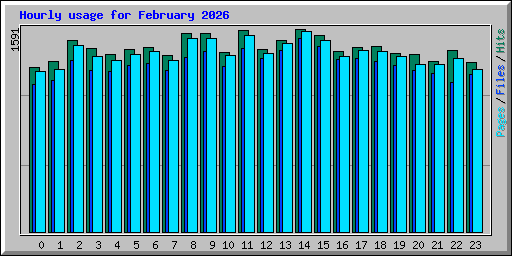 Hourly usage for February 2026